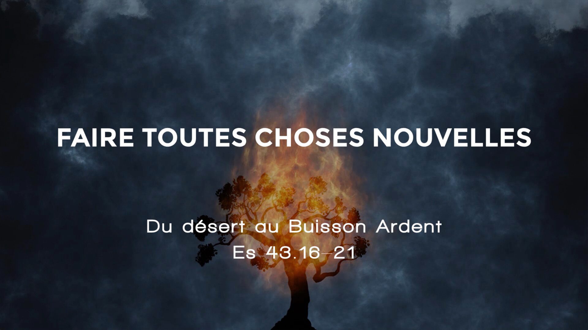 Faire toutes choses nouvelles : Du désert au Buisson Ardent